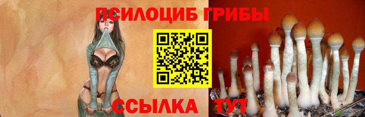 Химки  Псилоцибиновые грибы мухоморы  Вход с VPN 